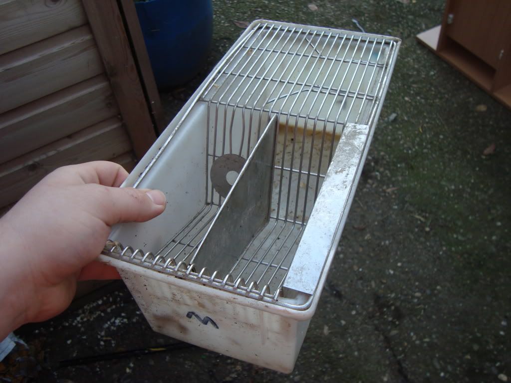 mice breeding cages pick up from notts or courier available Reptile